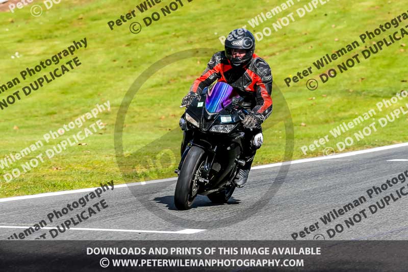 Oulton Park 20th March 2020;PJ Motorsport Photography 2020;anglesey;brands hatch;cadwell park;croft;donington park;enduro digital images;event digital images;eventdigitalimages;mallory;no limits;oulton park;peter wileman photography;racing digital images;silverstone;snetterton;trackday digital images;trackday photos;vmcc banbury run;welsh 2 day enduro